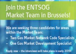 ENTSOG Calls for Candidates until 30 November 2018
