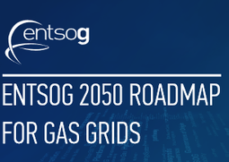 ENTSOG Roadmap 2050