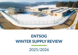 Cover Winter Supply Review 2025/2026