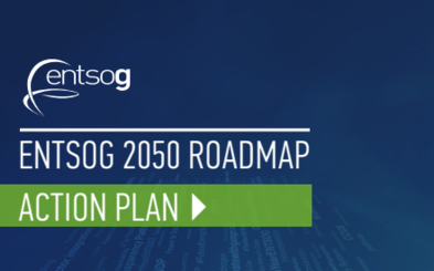 Roadmap Action Plan