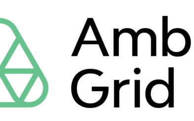 Amber Grid Logo