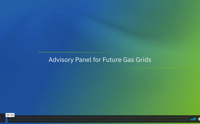 Advisory Panel for Future Gas Grids